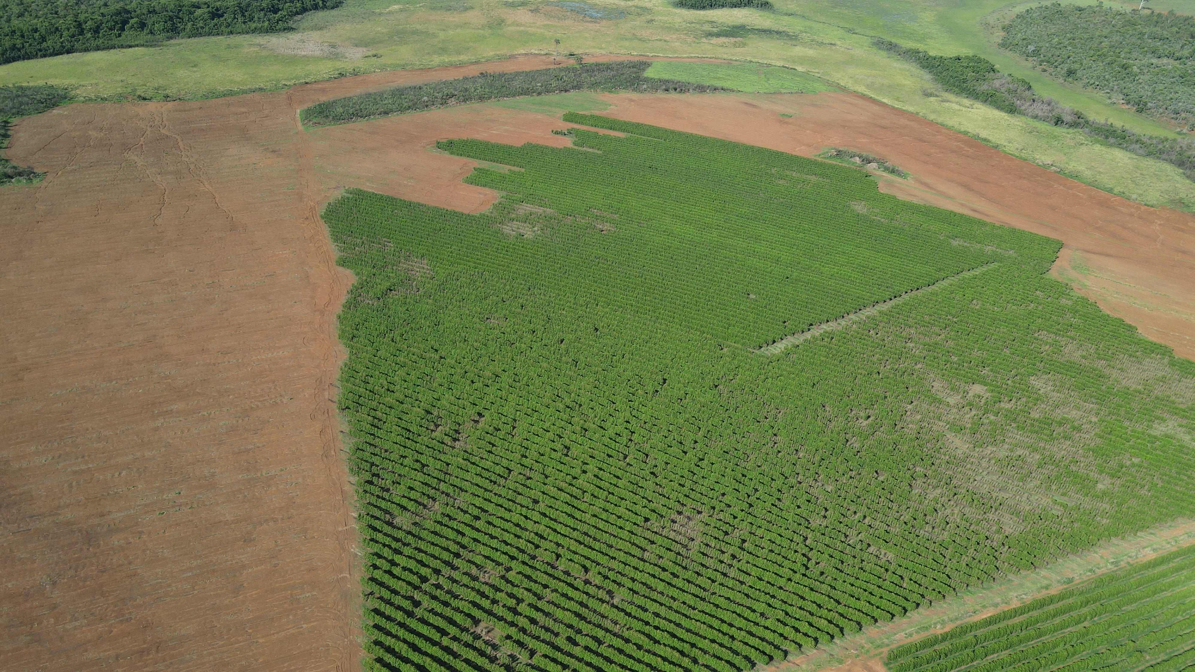 FAZENDA em CHAPADÃO DE FERRO, PATROCÍNIO - FA00181