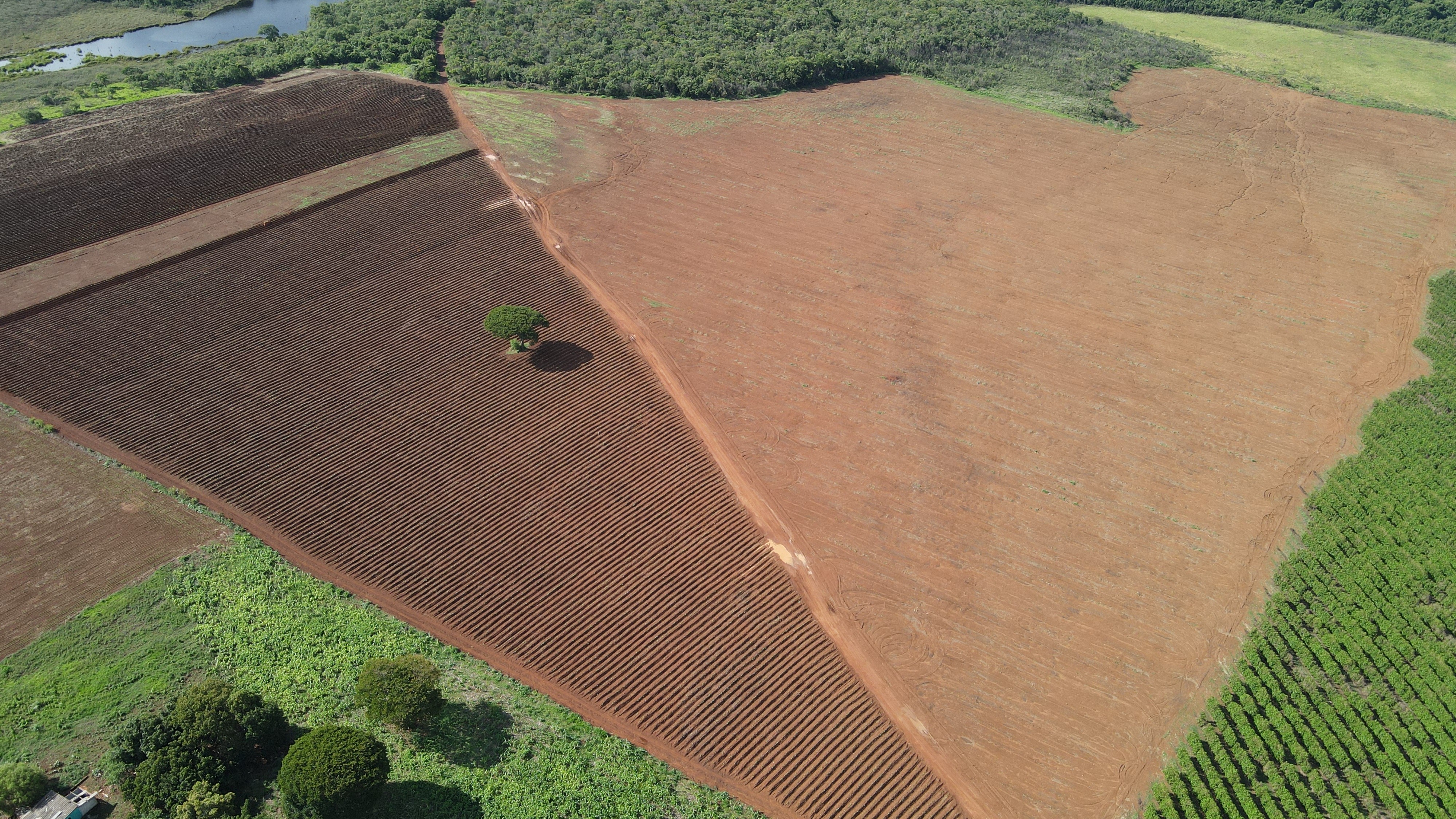 FAZENDA em CHAPADÃO DE FERRO, PATROCÍNIO - FA00181