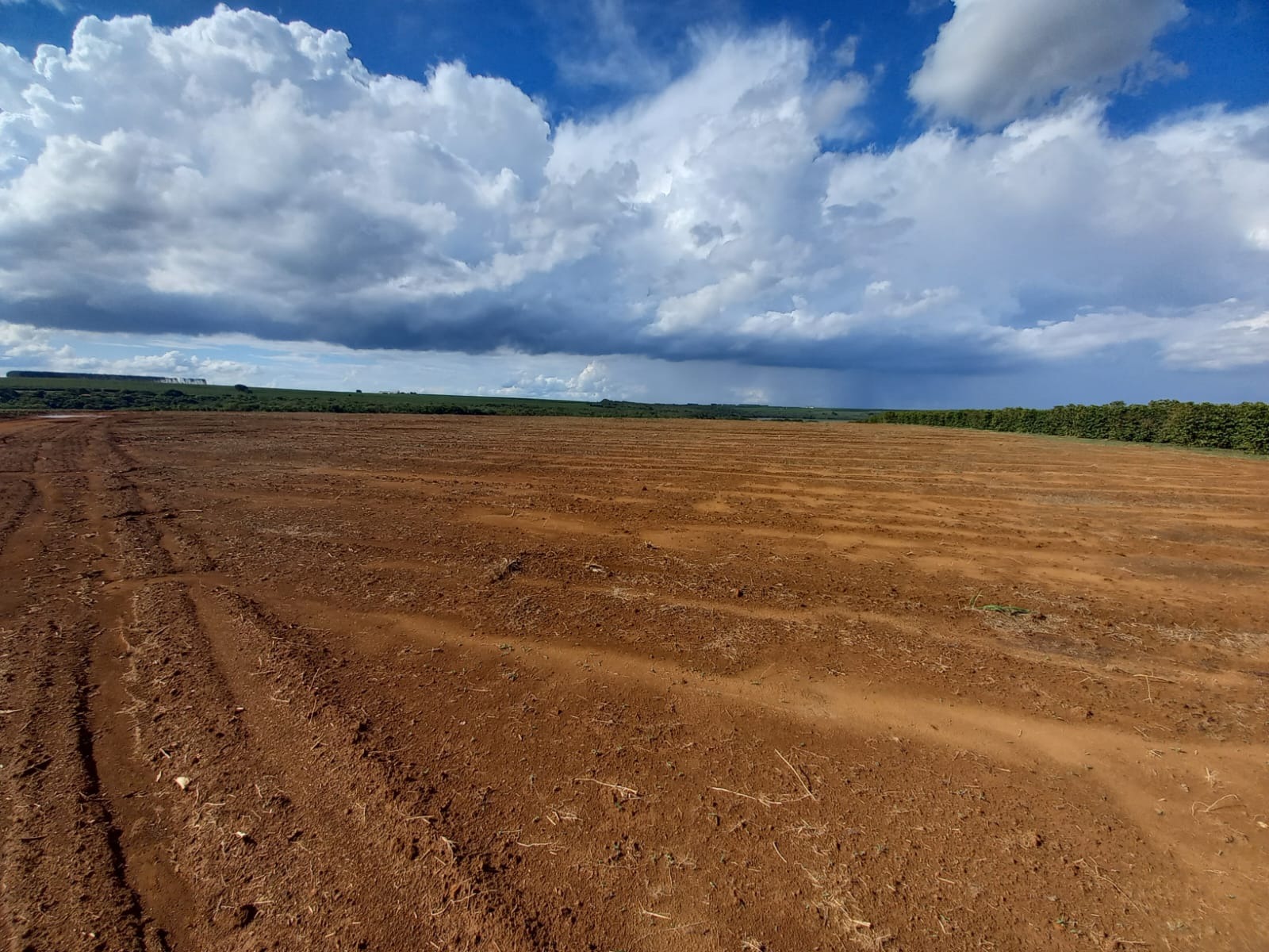 FAZENDA em CHAPADÃO DE FERRO, PATROCÍNIO - FA00181