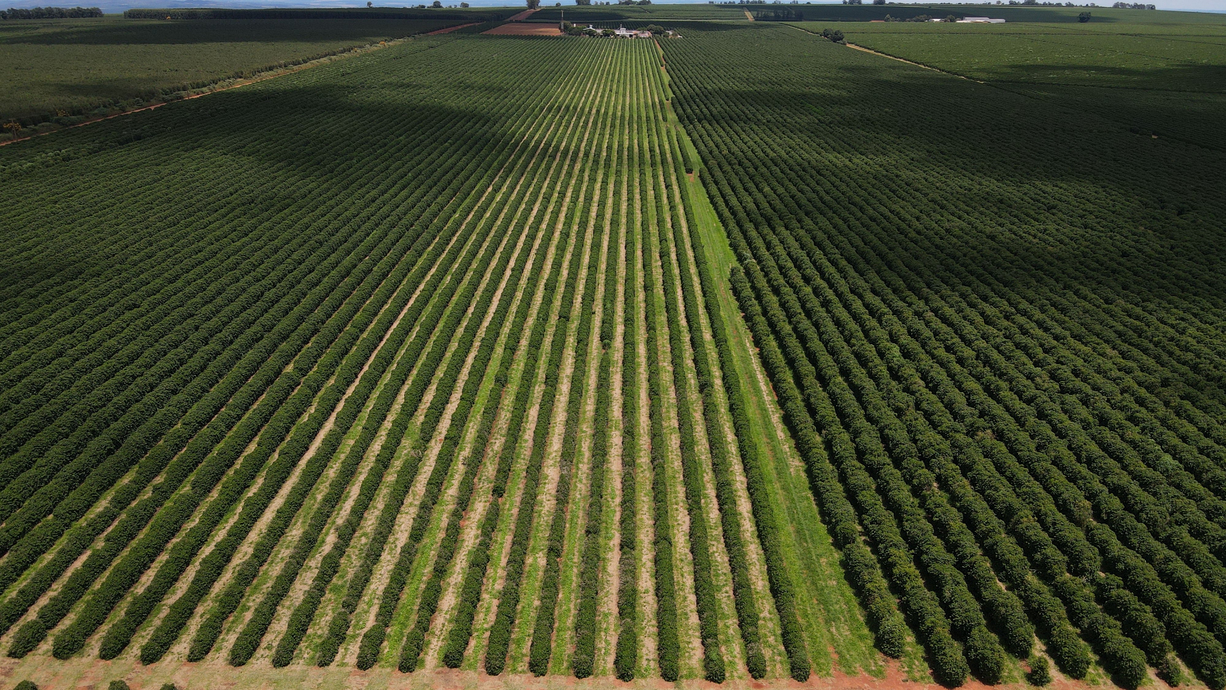FAZENDA em CHAPADÃO DE FERRO, PATROCÍNIO - FA00204