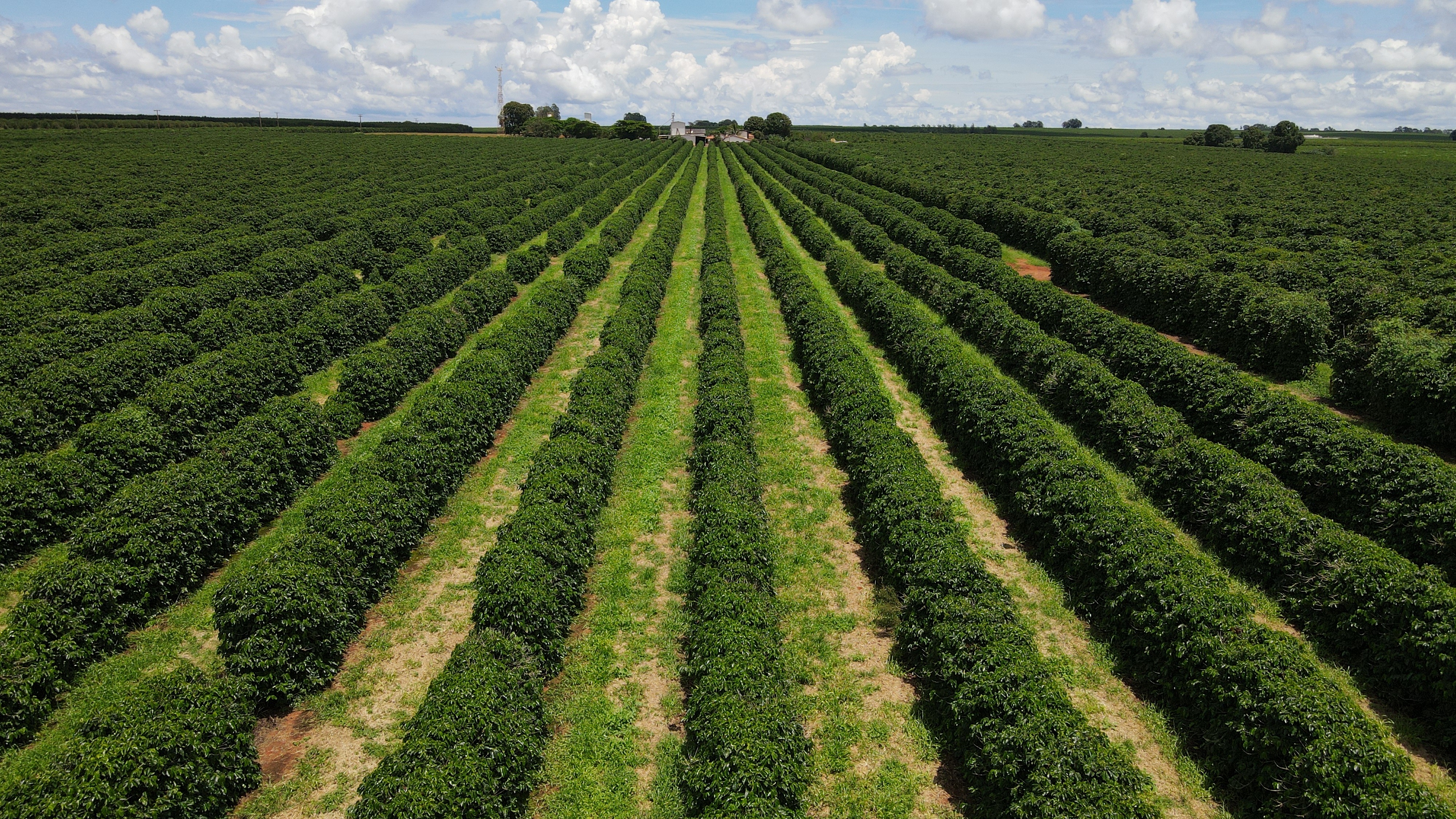 FAZENDA em CHAPADÃO DE FERRO, PATROCÍNIO - FA00204