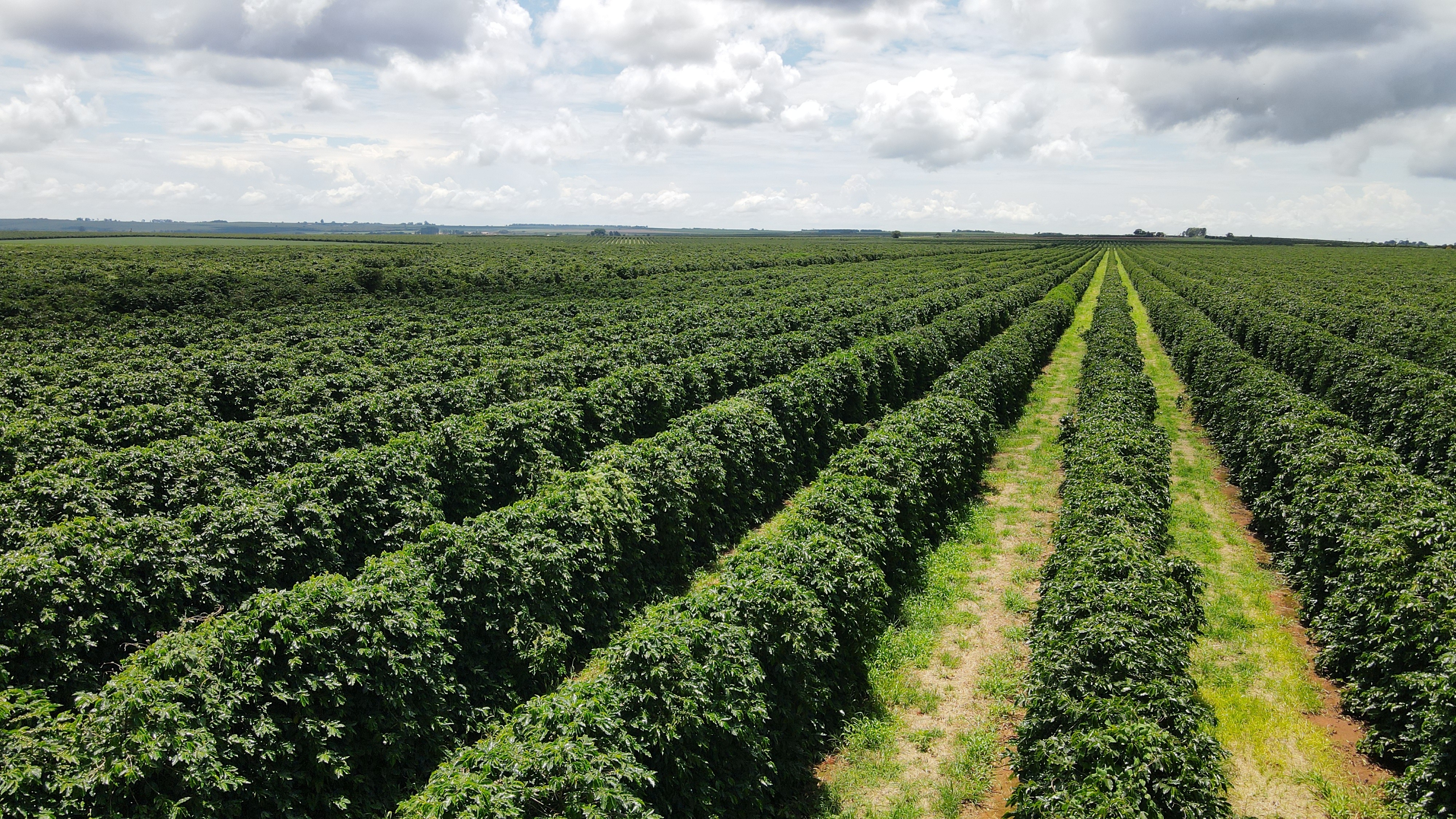FAZENDA em CHAPADÃO DE FERRO, PATROCÍNIO - FA00204