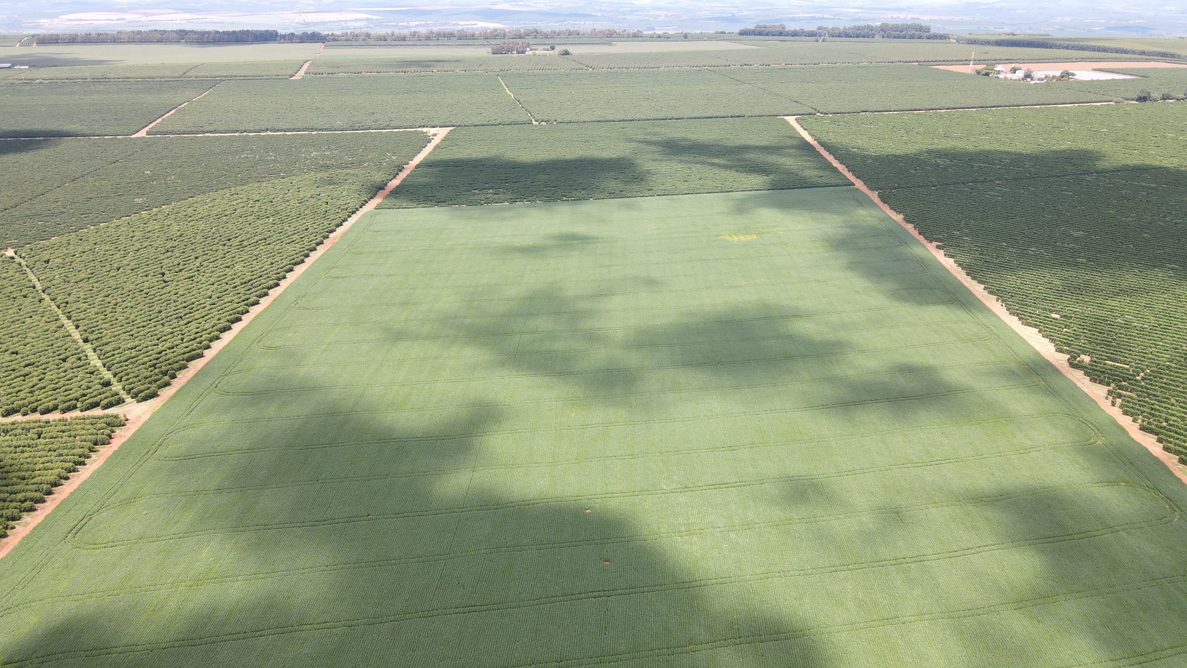 FAZENDA em CHAPADÃO DE FERRO, PATROCÍNIO - FA00204