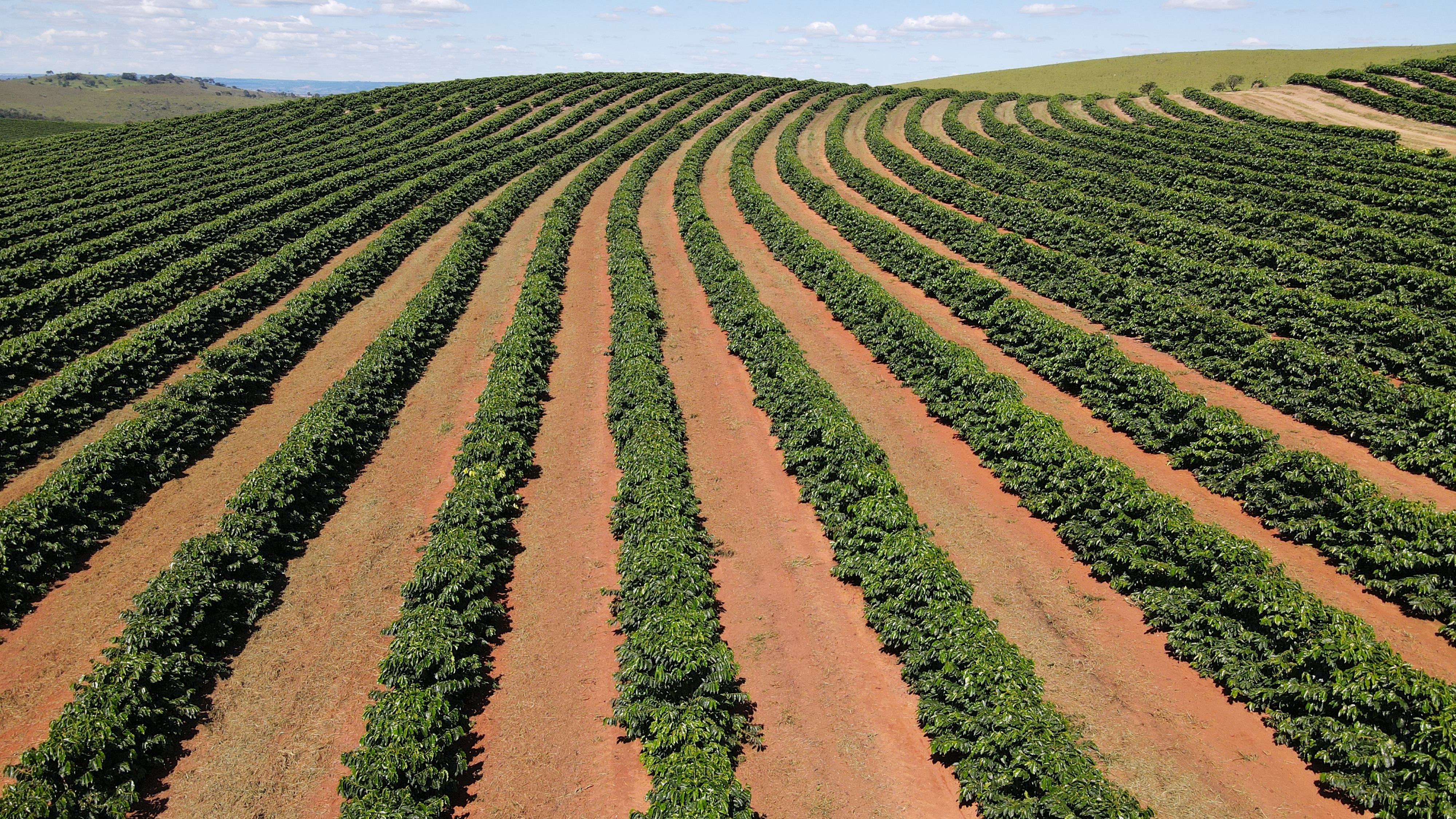 FAZENDA em ZONA RURAL, RIO PARANAÍBA - FA00205