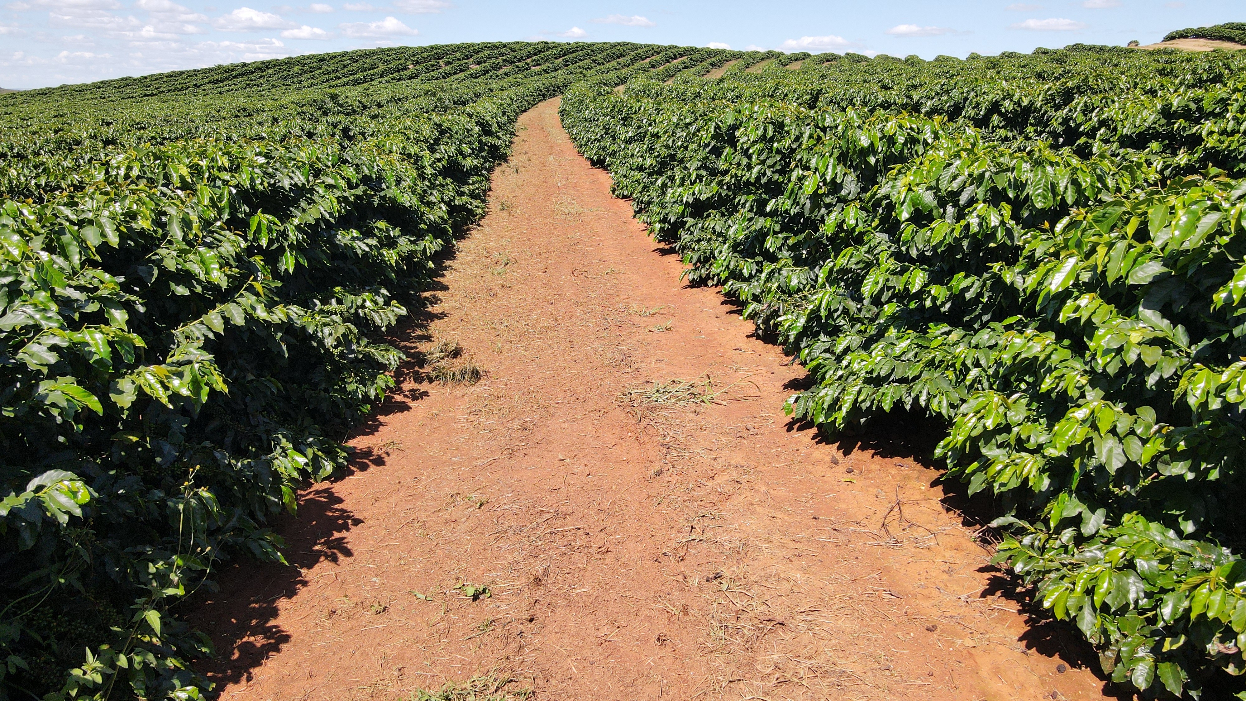 FAZENDA em ZONA RURAL, RIO PARANAÍBA - FA00205