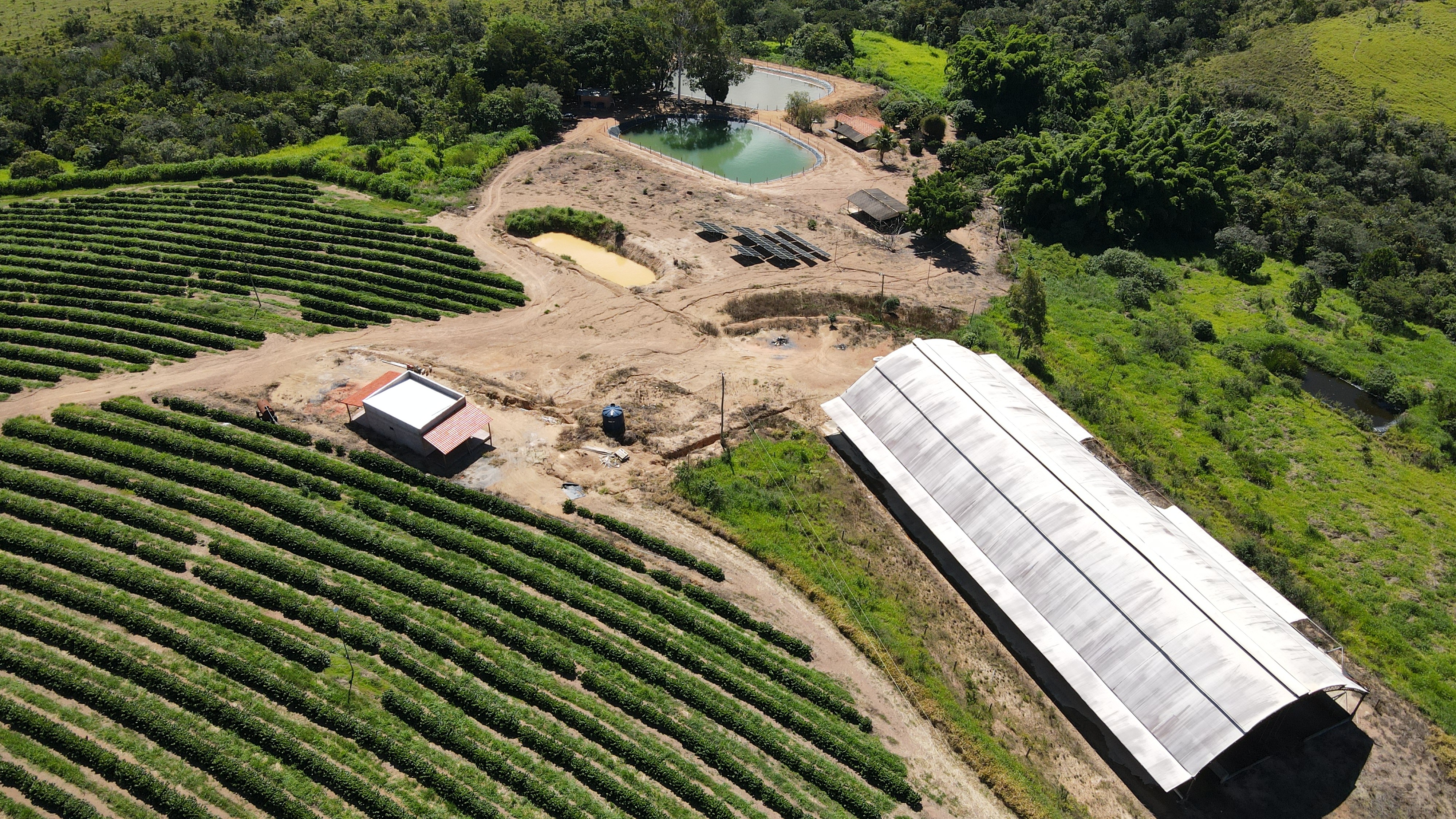 FAZENDA em ZONA RURAL, RIO PARANAÍBA - FA00205
