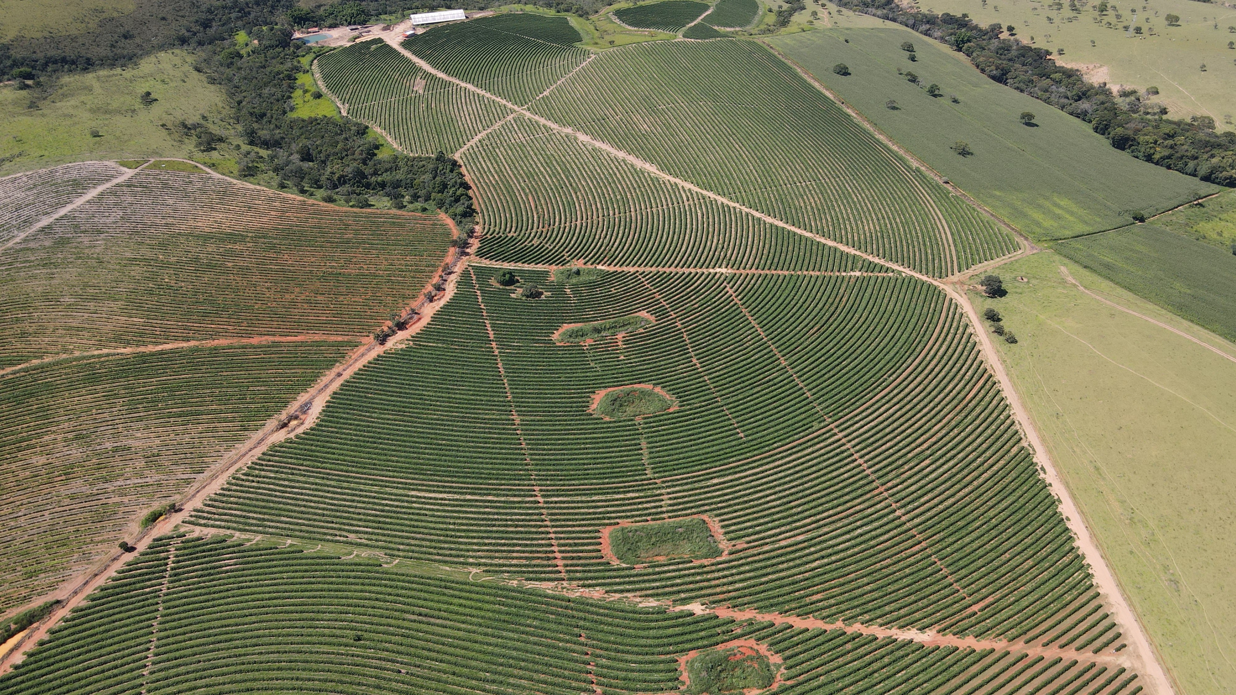 FAZENDA em ZONA RURAL, RIO PARANAÍBA - FA00205