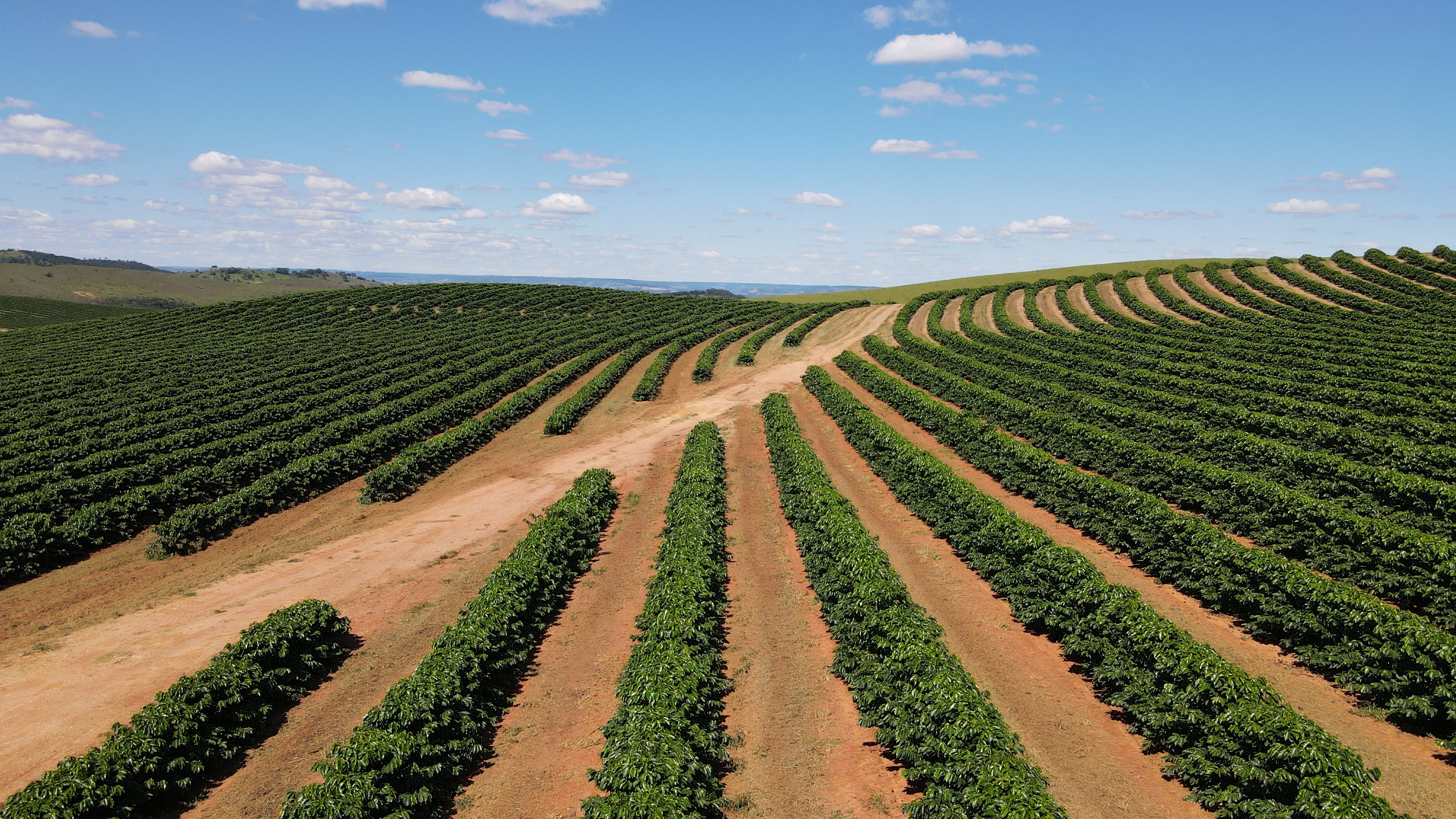FAZENDA em ZONA RURAL, RIO PARANAÍBA - FA00205