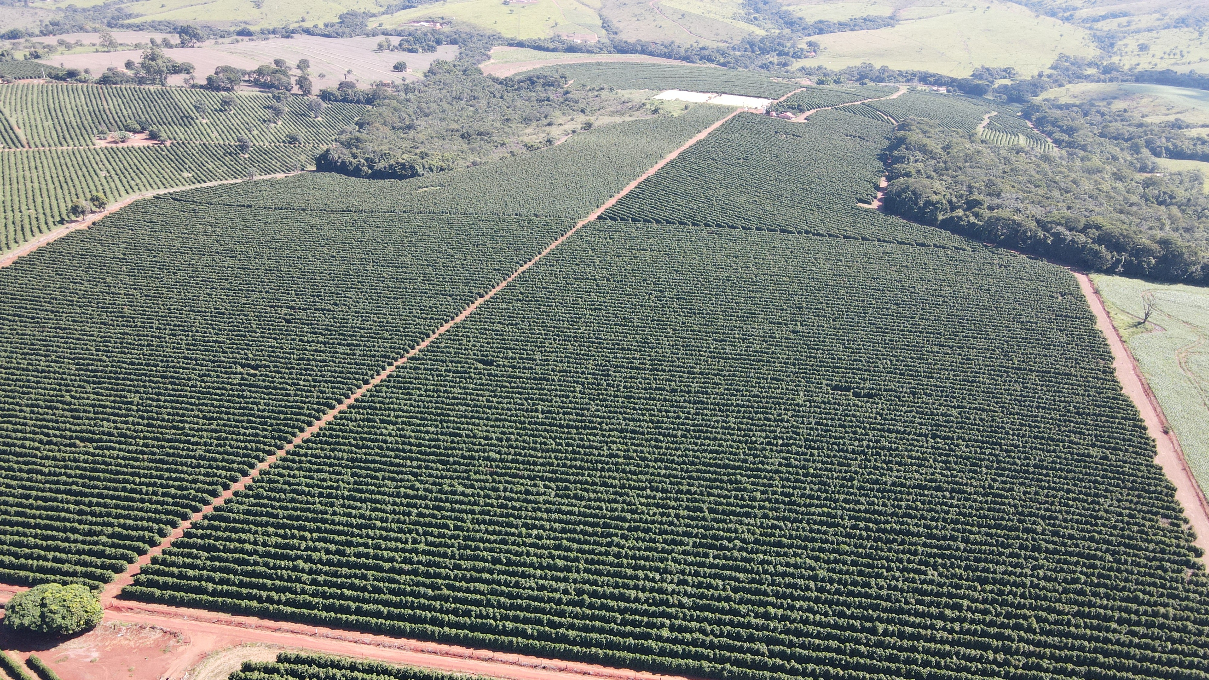 FAZENDA em BOA VISTA, COROMANDEL - FA00209