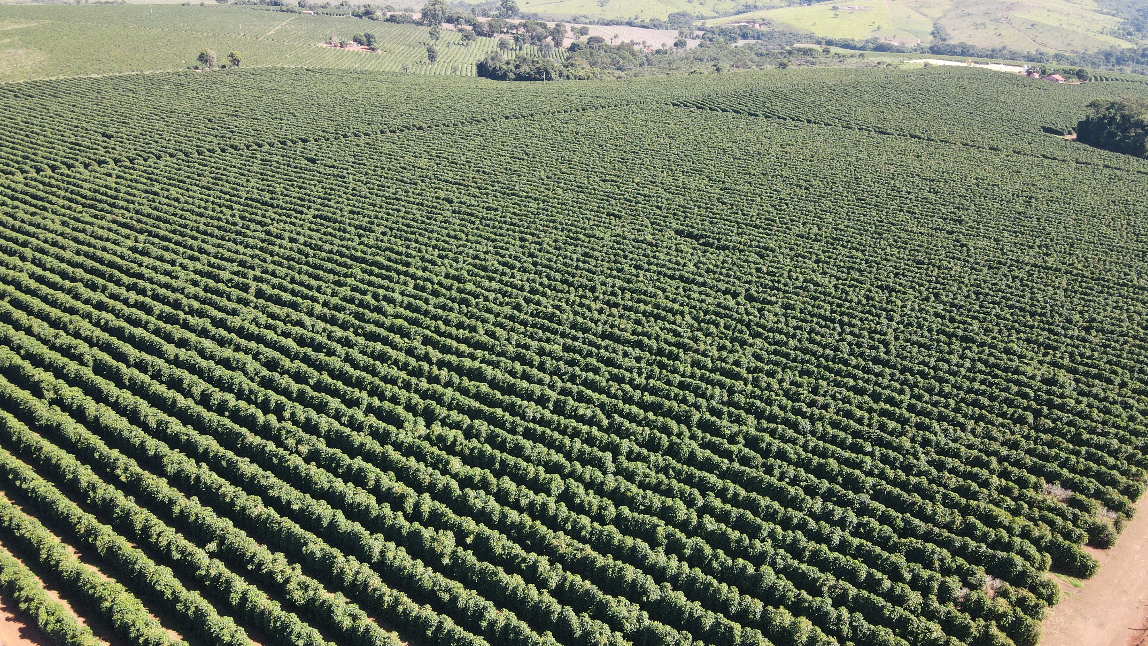 FAZENDA em BOA VISTA, COROMANDEL - FA00209