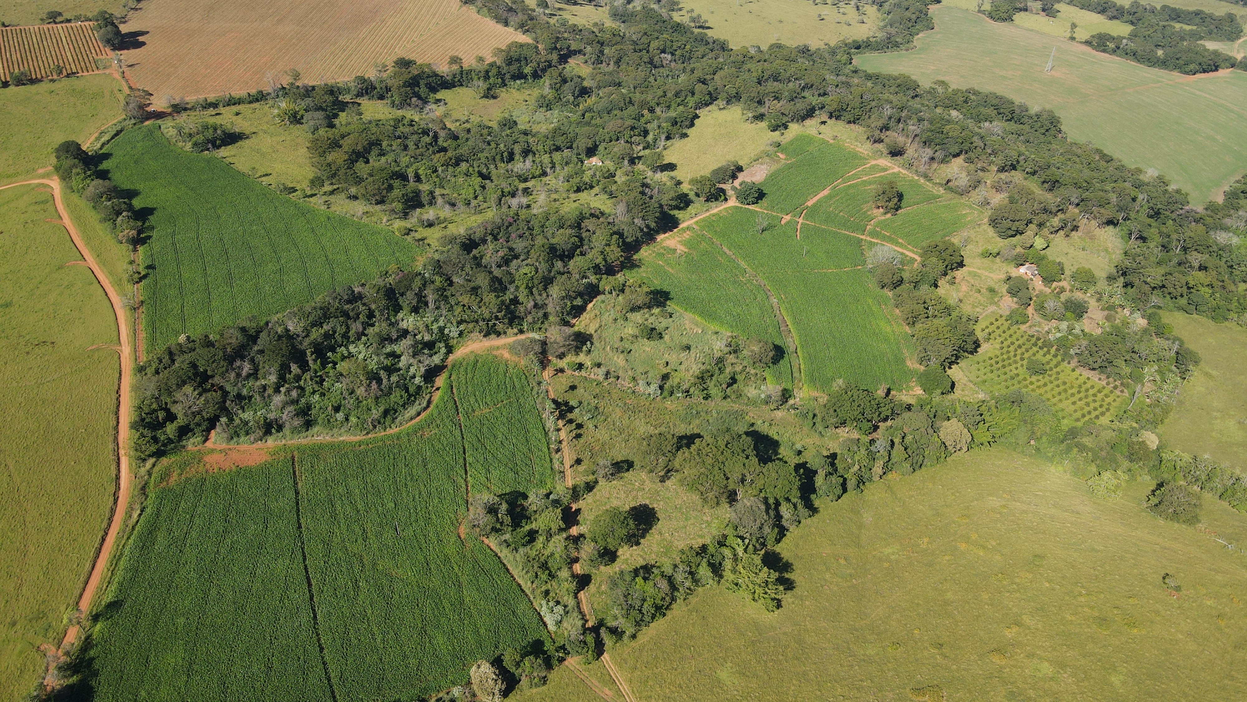 FAZENDA em SÃO BENEDITO, PATROCÍNIO - FA00212
