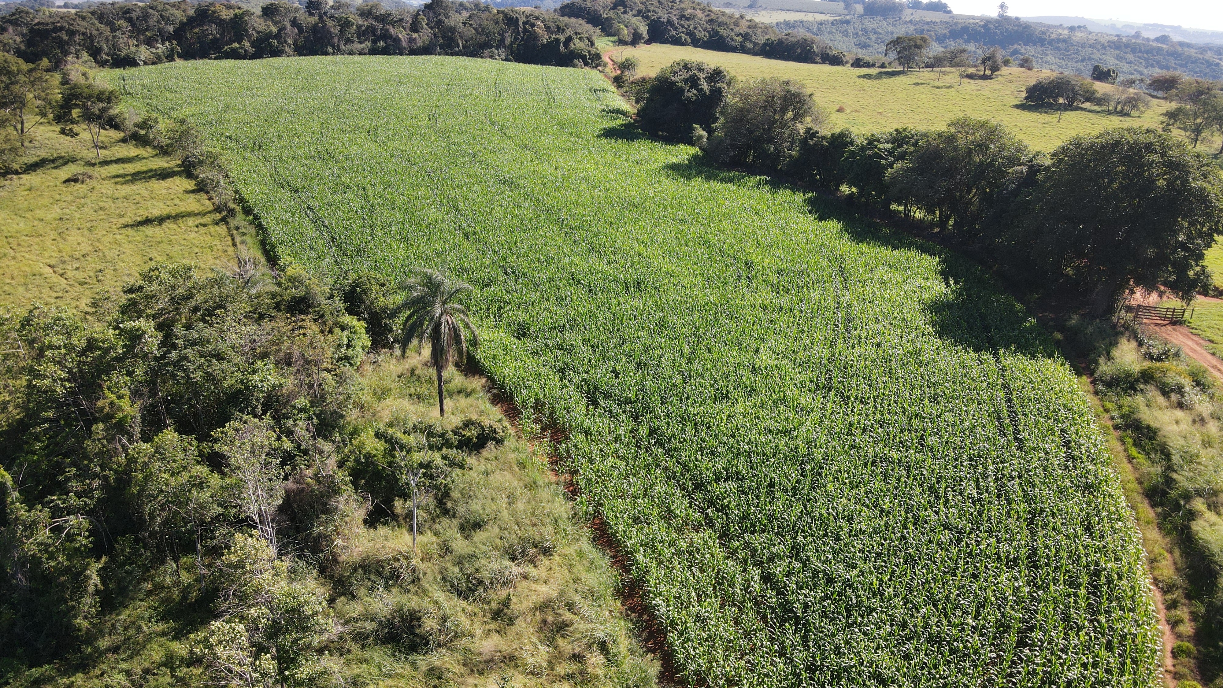 FAZENDA em SÃO BENEDITO, PATROCÍNIO - FA00212