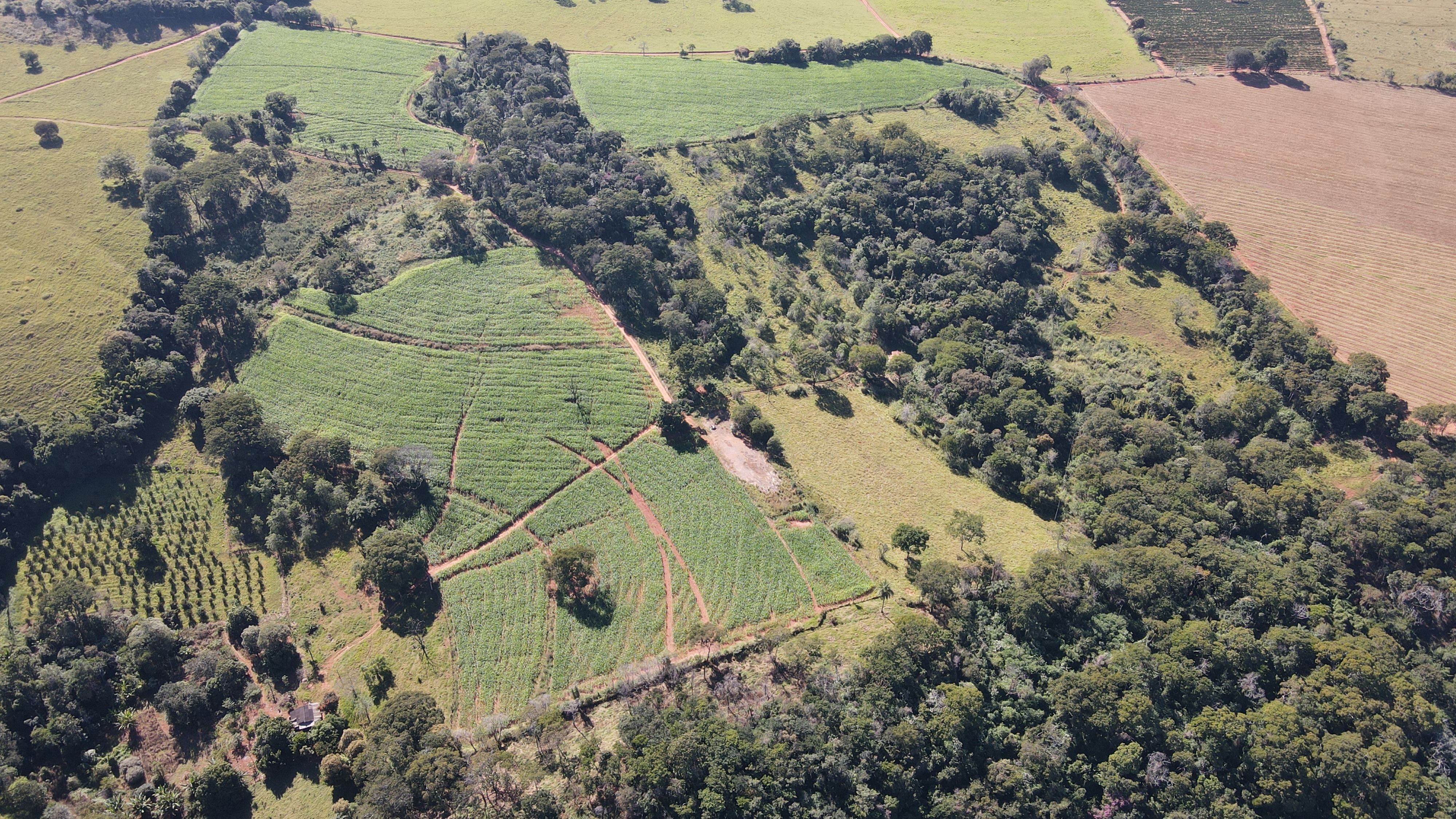 FAZENDA em SÃO BENEDITO, PATROCÍNIO - FA00212