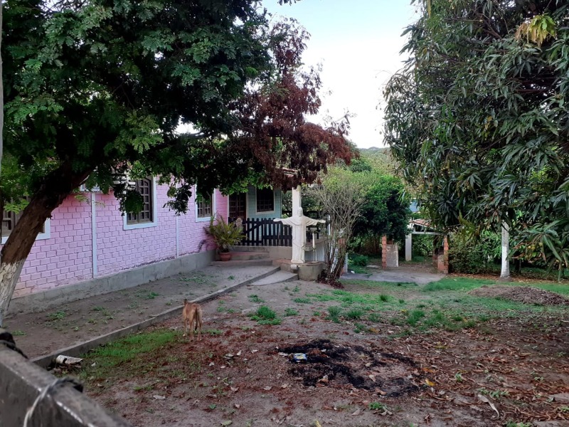 Casa à venda com 3 quartos, 1000m² - Foto 1