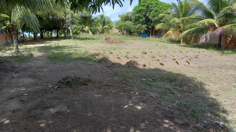 Terreno à venda, 2400000m² - Foto 3