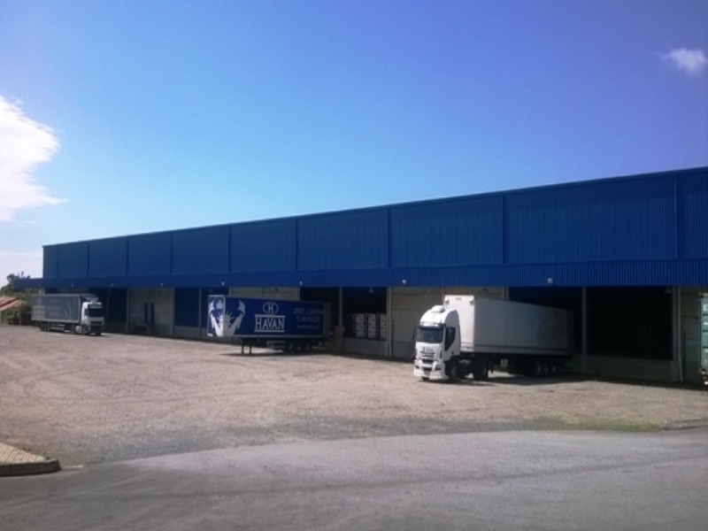 Depósito-Galpão-Armazém para alugar com 3 quartos - Foto 12