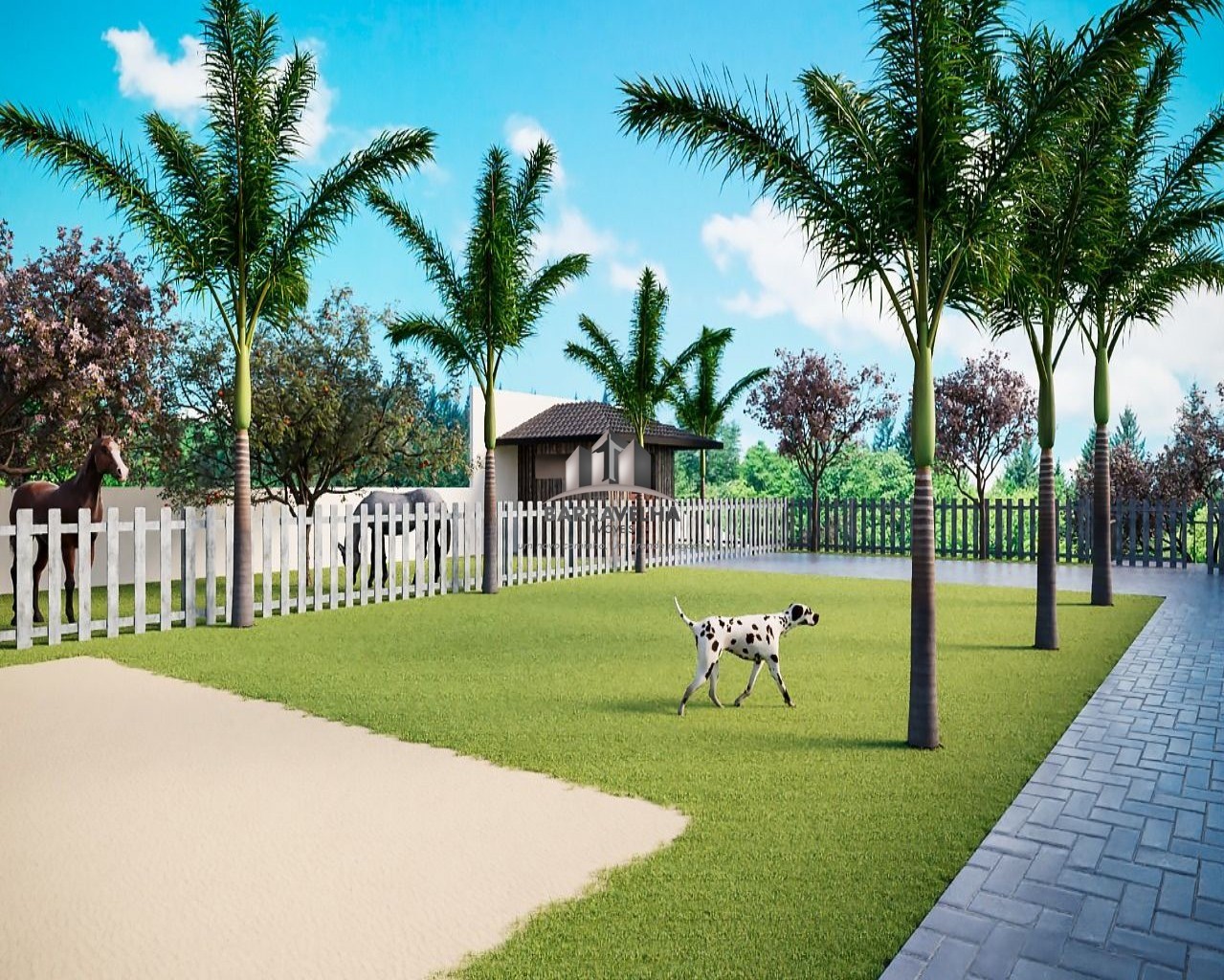 Chácara à venda com 3 quartos - Foto 3