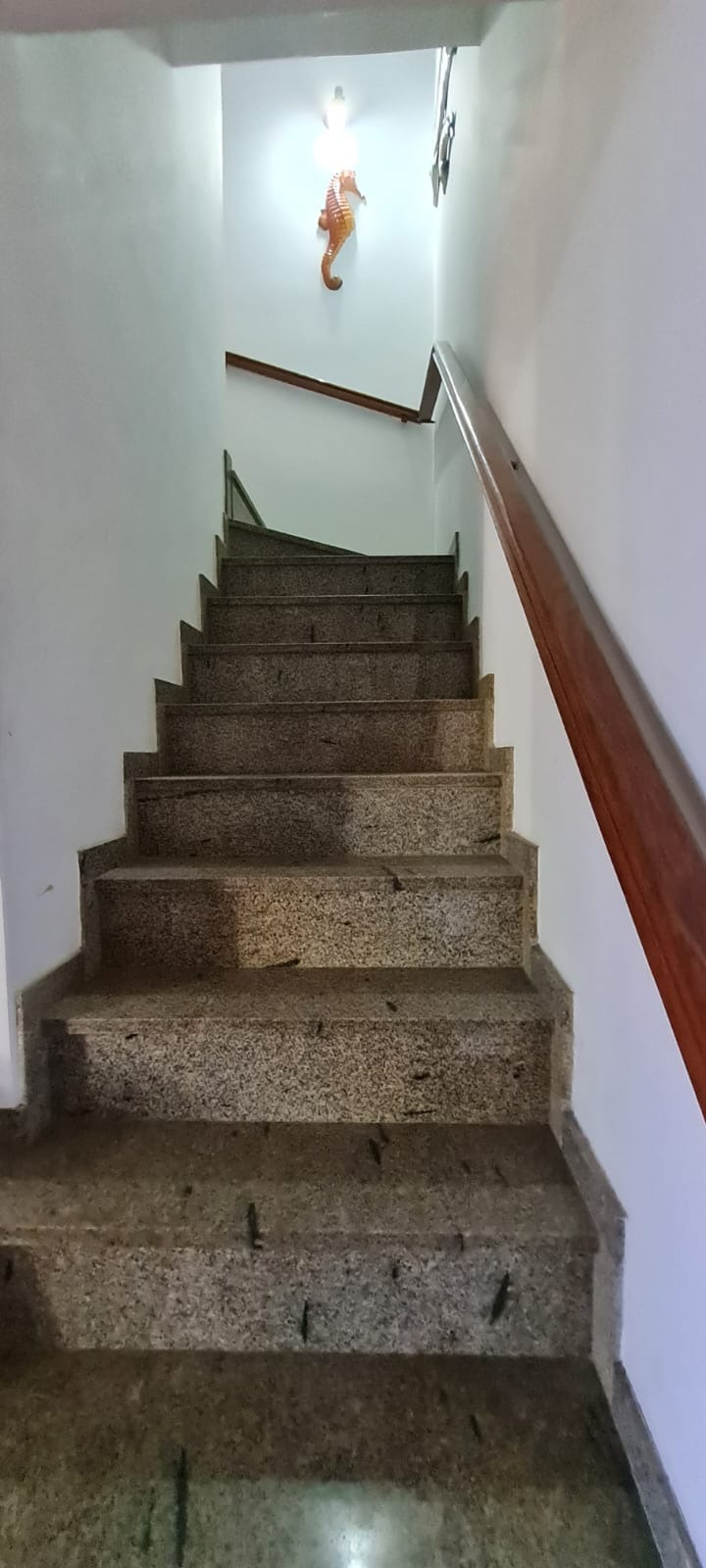 Casa, 3 quartos - Foto 54
