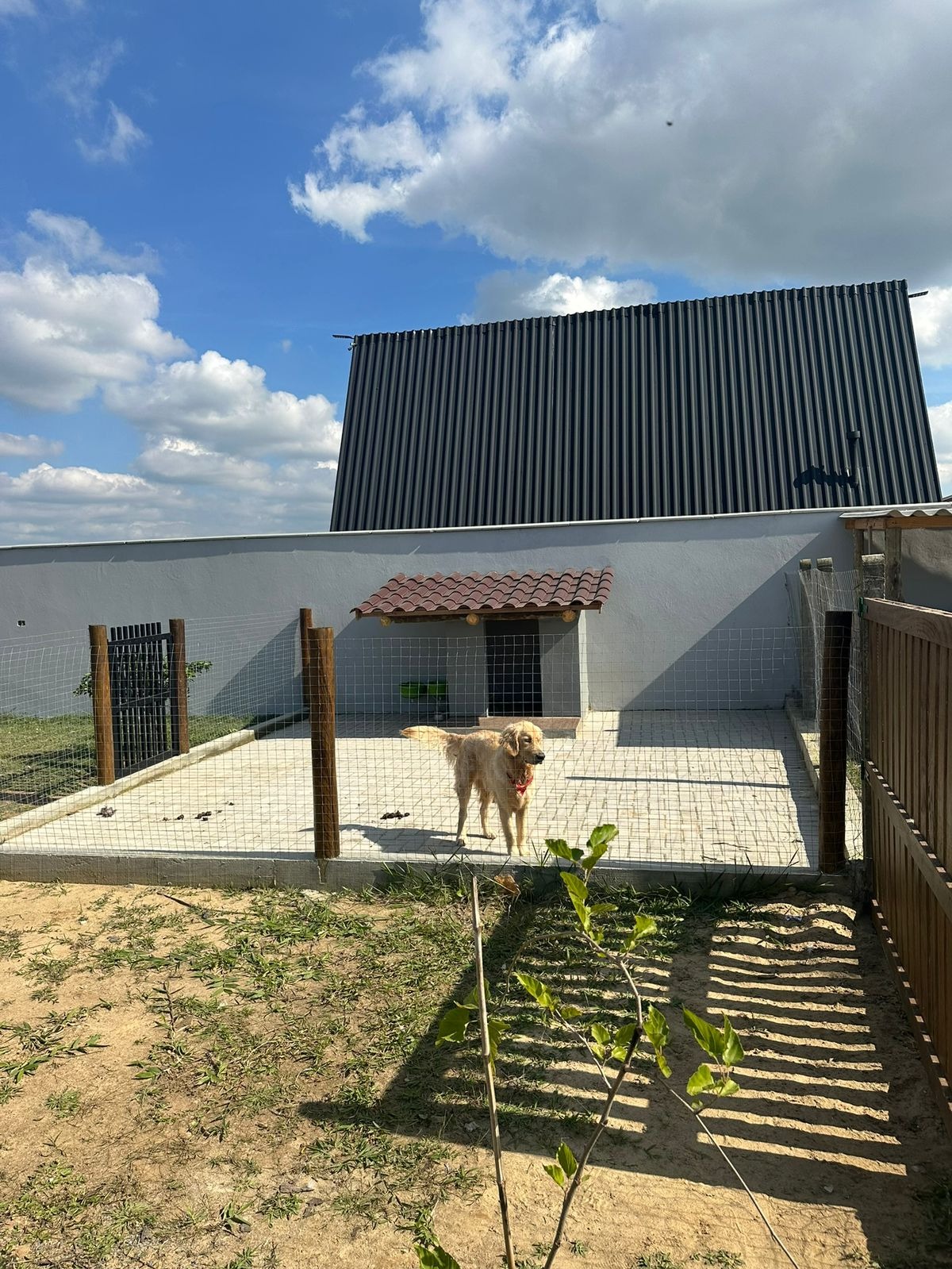 Chácara, 3 quartos - Foto 40