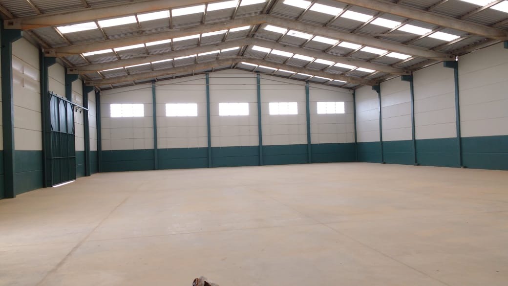 Depósito-Galpão - Foto 3