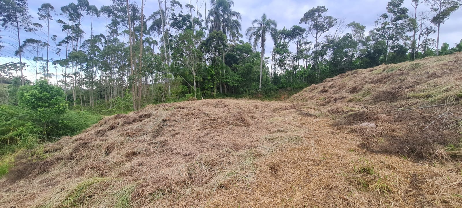 Terreno, 1785 m² - Foto 7