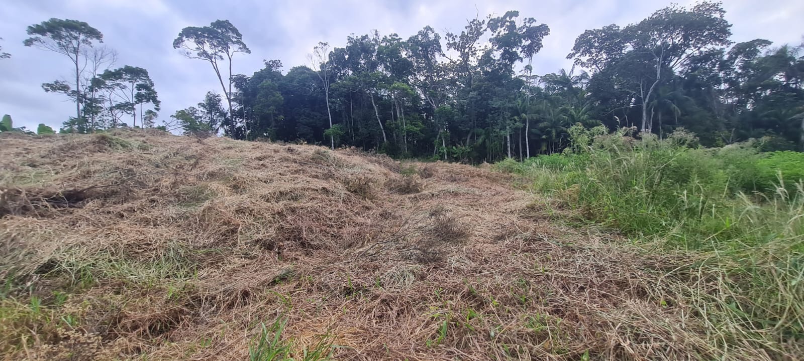 Terreno, 1785 m² - Foto 15