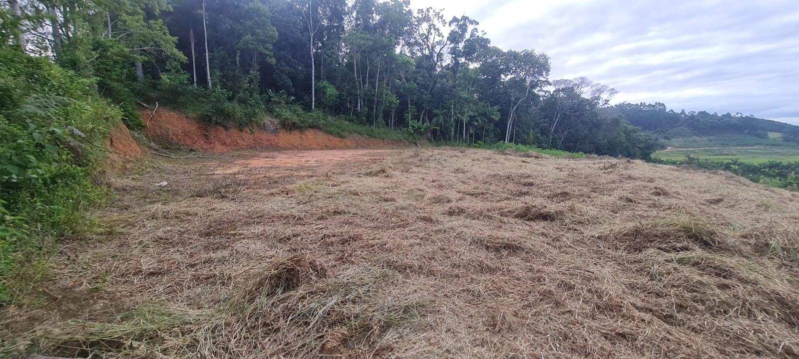 Terreno, 1785 m² - Foto 11