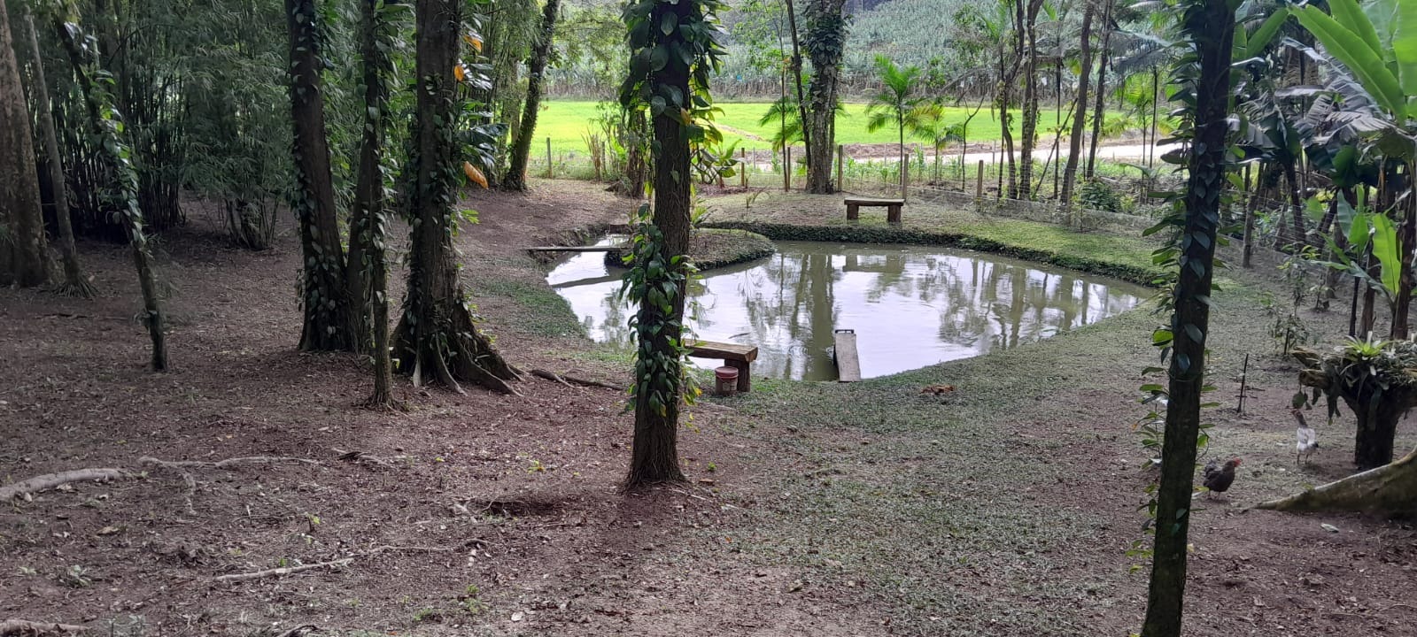 Imóvel — foto 2
