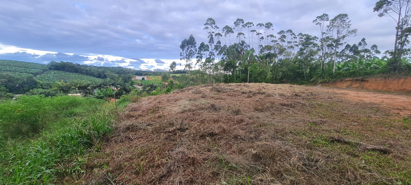 Terreno, 1785 m² - Foto 6