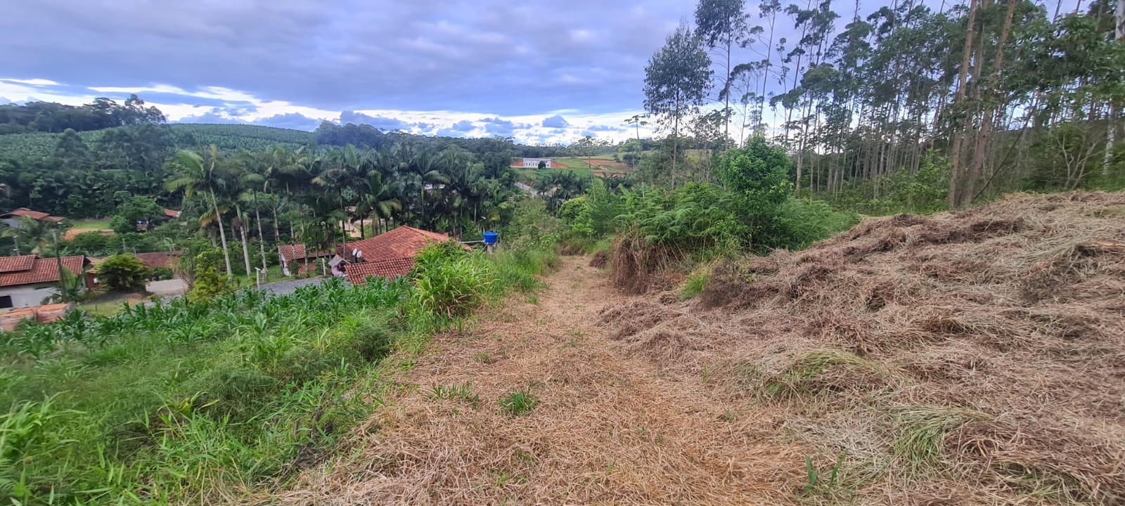 Terreno, 1785 m² - Foto 13