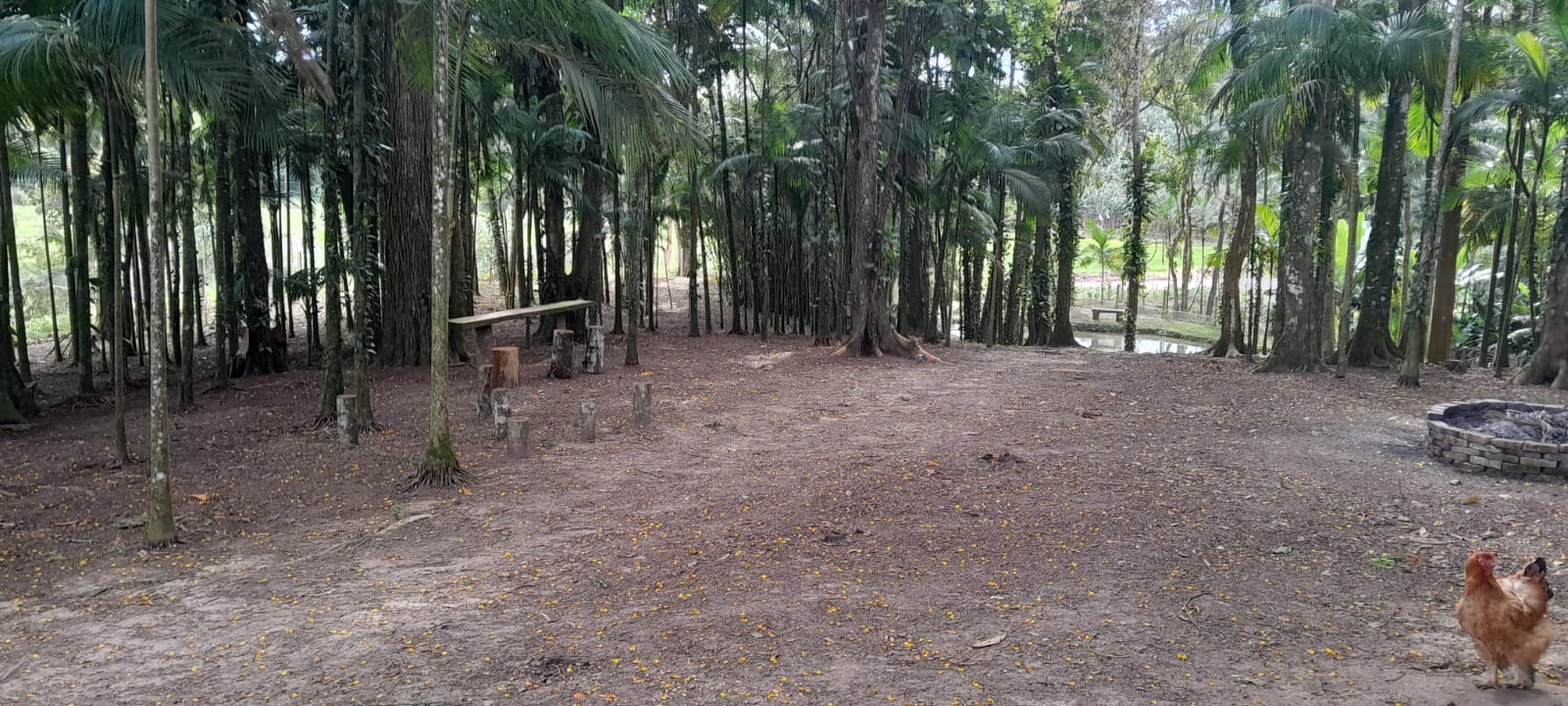 Imóvel — foto 3