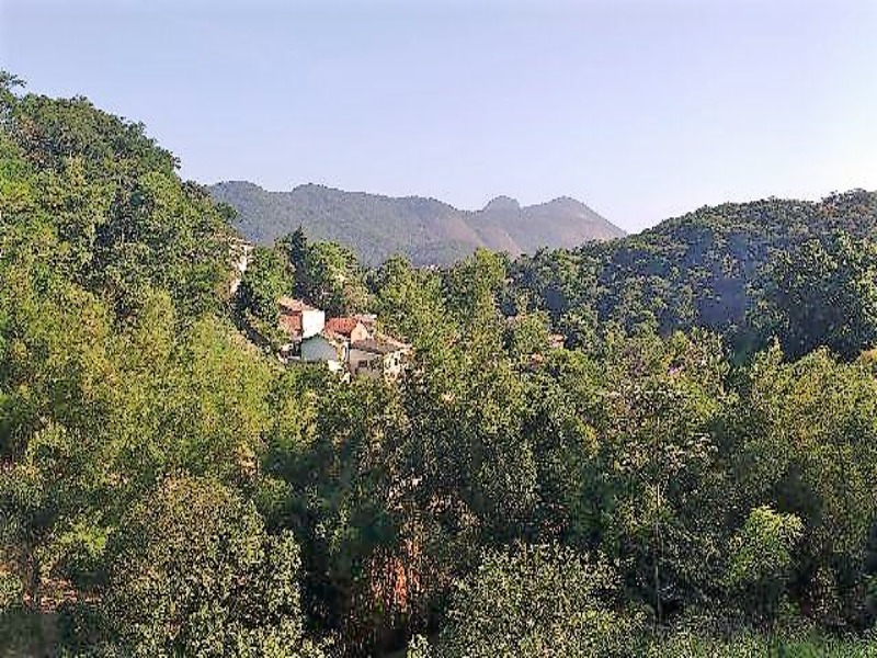 Terreno à venda, 1200m² - Foto 4