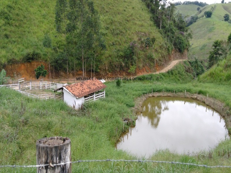 Fazenda à venda com 3 quartos - Foto 3