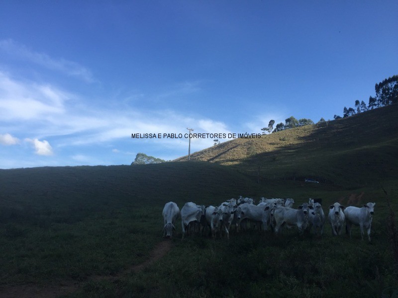 Fazenda à venda com 3 quartos - Foto 11