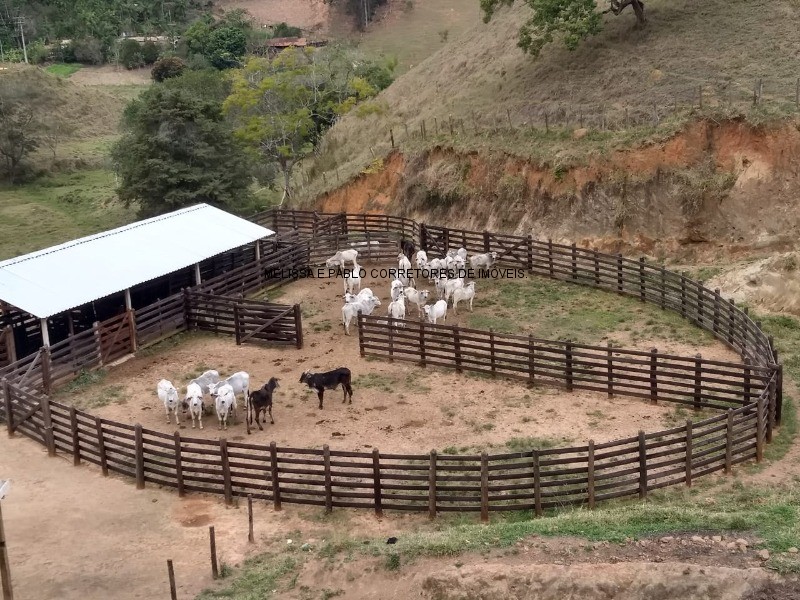 Fazenda à venda com 3 quartos - Foto 12