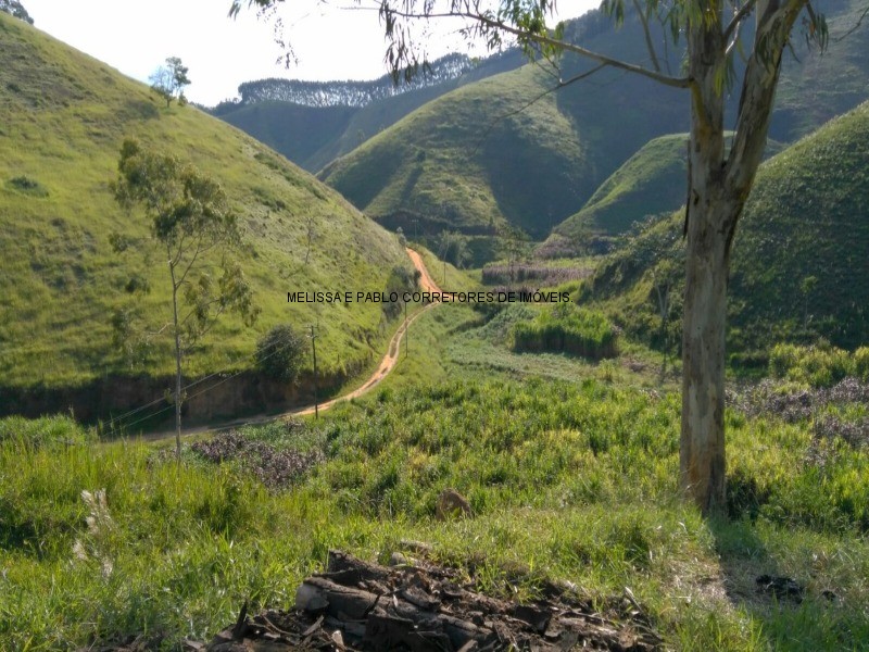 Fazenda à venda com 3 quartos - Foto 14