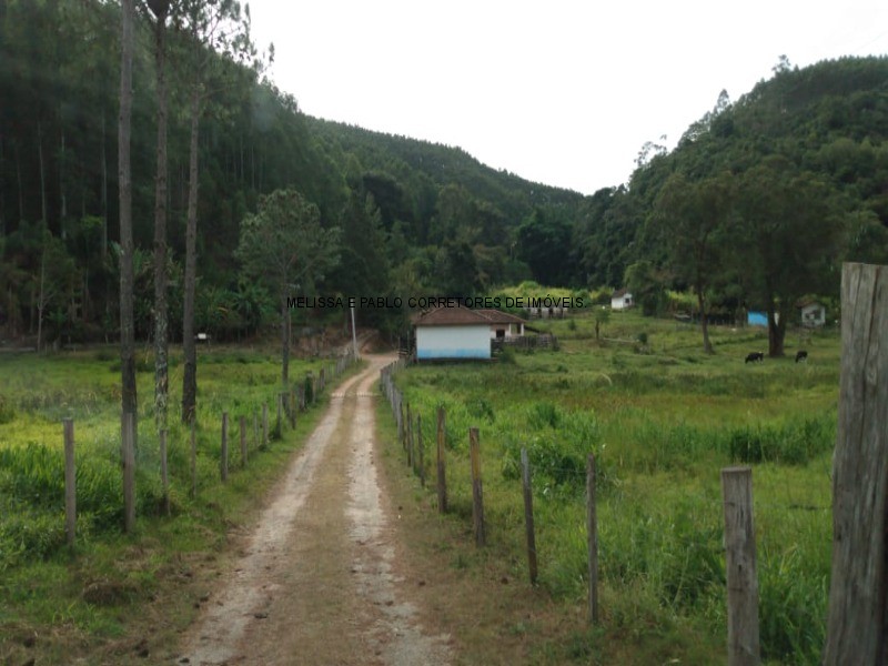 Fazenda à venda - Foto 1