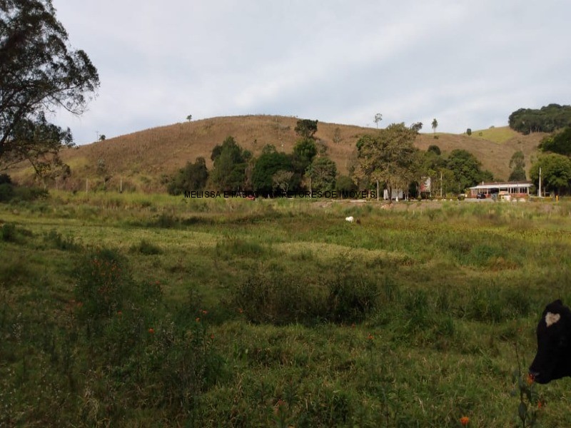 Fazenda à venda - Foto 4