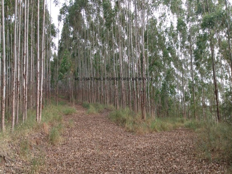 Fazenda à venda - Foto 9