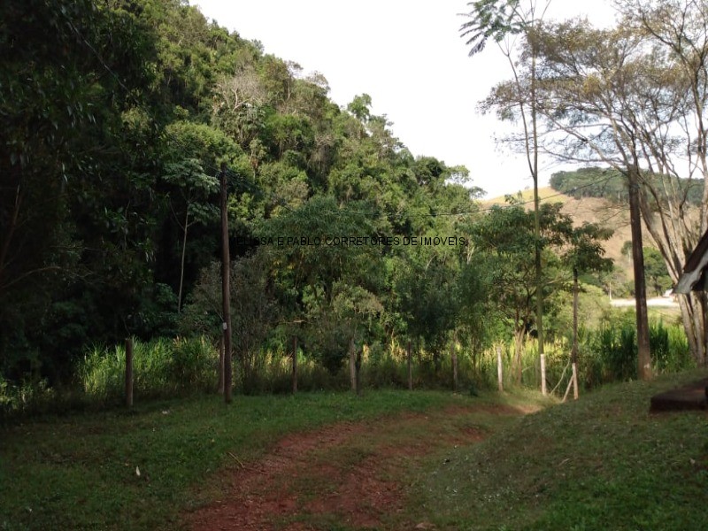 Fazenda à venda - Foto 10