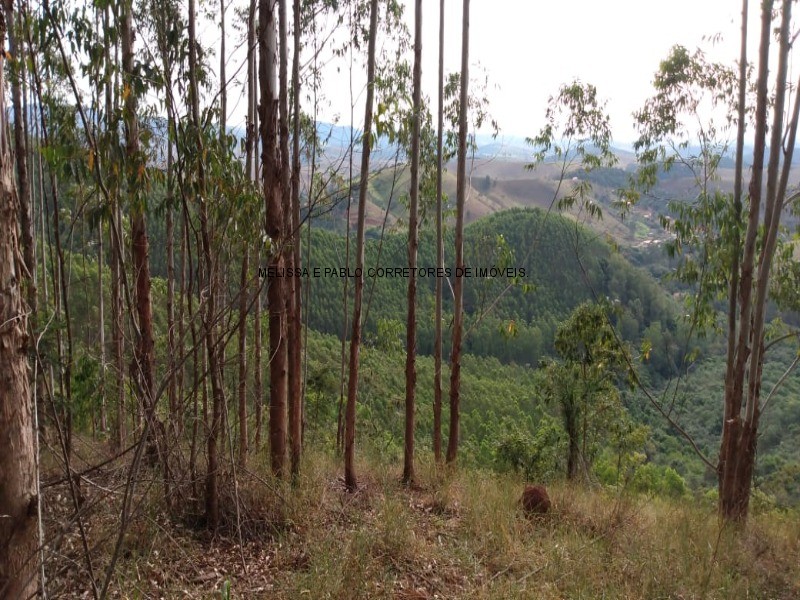 Fazenda à venda - Foto 52