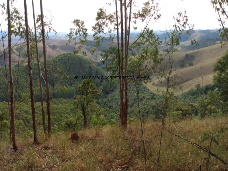 Fazenda à venda - Foto 57