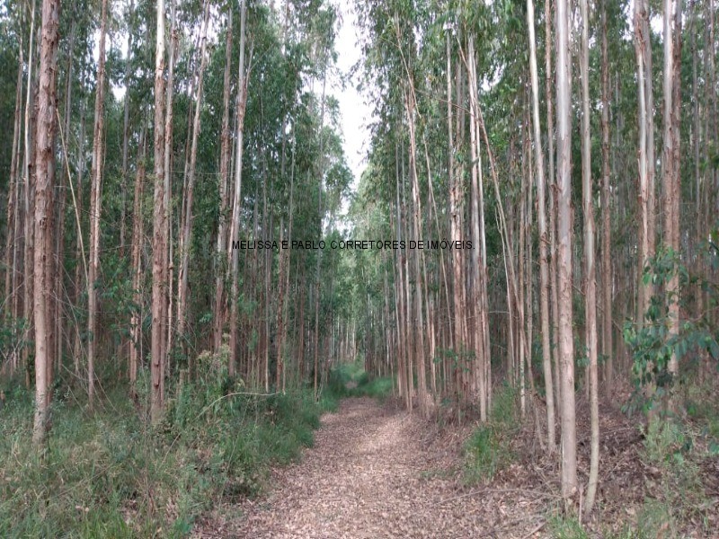 Fazenda à venda - Foto 64