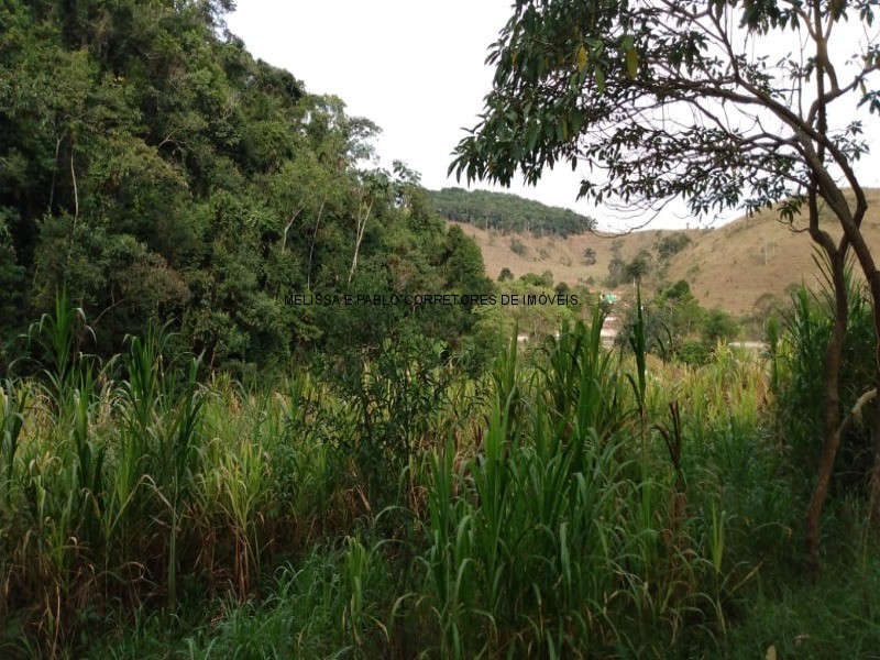 Fazenda à venda - Foto 66