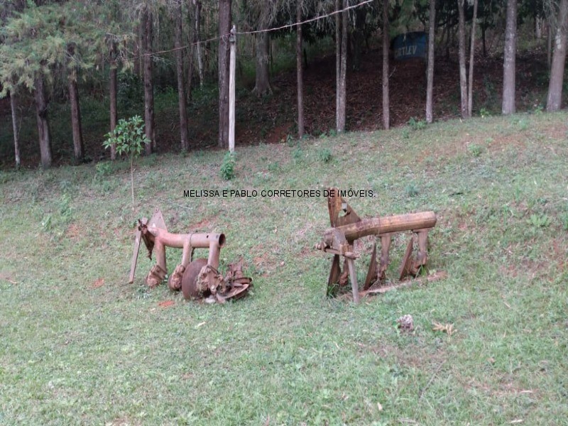 Fazenda à venda - Foto 68