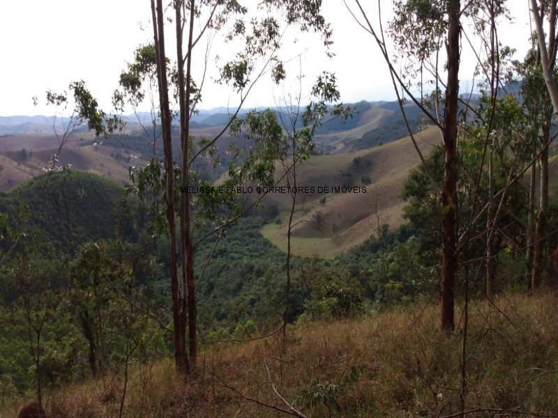 Fazenda à venda - Foto 69