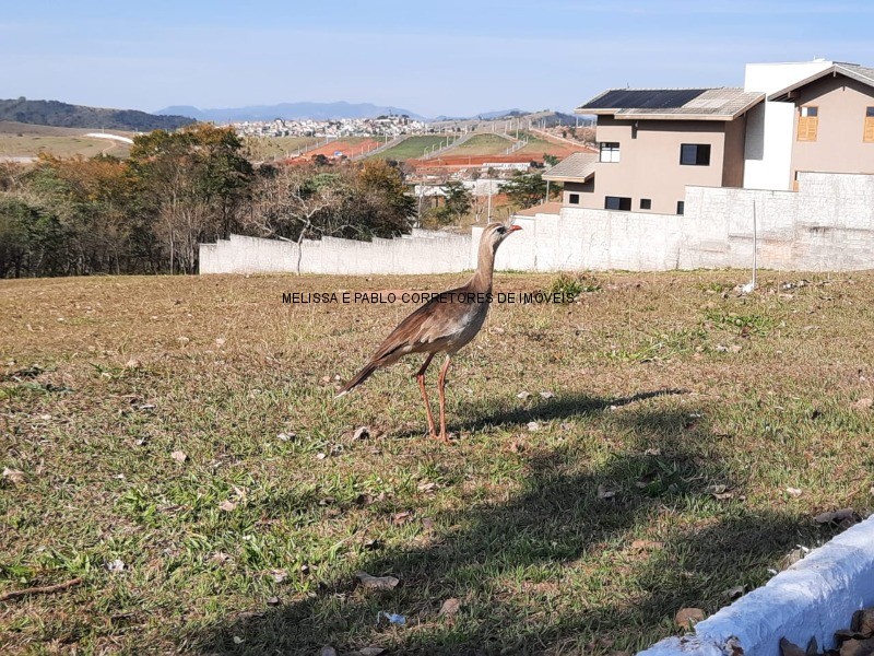 Terreno à venda, 2000m² - Foto 38