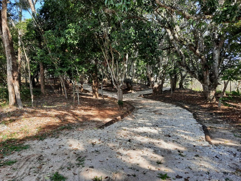 Terreno à venda, 2000m² - Foto 4