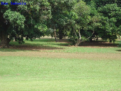 Fazenda à venda com 8 quartos, 1000m² - Foto 26