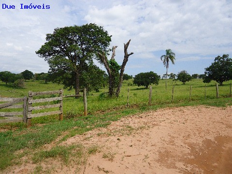 Fazenda à venda com 8 quartos, 1000m² - Foto 35